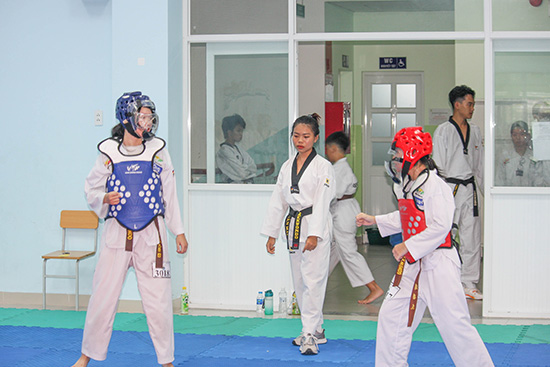 CLB võ Taekwondo tổ chức thi nâng cấp quý 3 năm 2023 - Nhà Thiếu nhi Quận 3