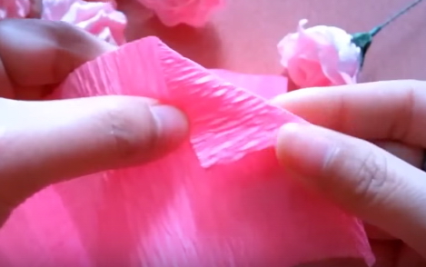 Khéo tay hay làm: Làm hoa hồng bằng giấy nhún