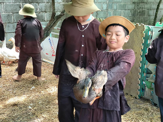 Hành trình trải nghiệm Một ngày nhà nông - Nhà Thiếu nhi Quận Gò Vấp